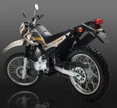 2010 Vuka TM 200 photo